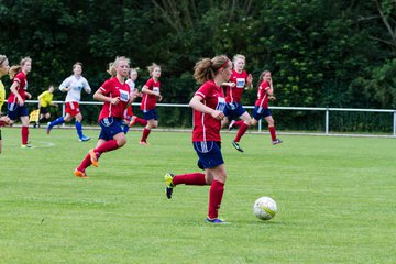 Bild 132 - B-Juniorinnen FFC Oldesloe - Hamburger SV : Ergebnis: 2:8